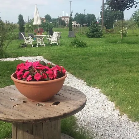 L'alveare Fiocina