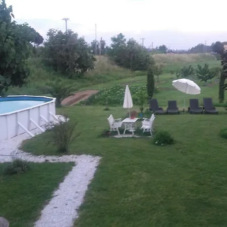 L'alveare Fiocina