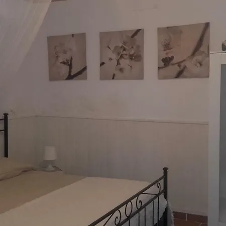 L'alveare * Fiocina